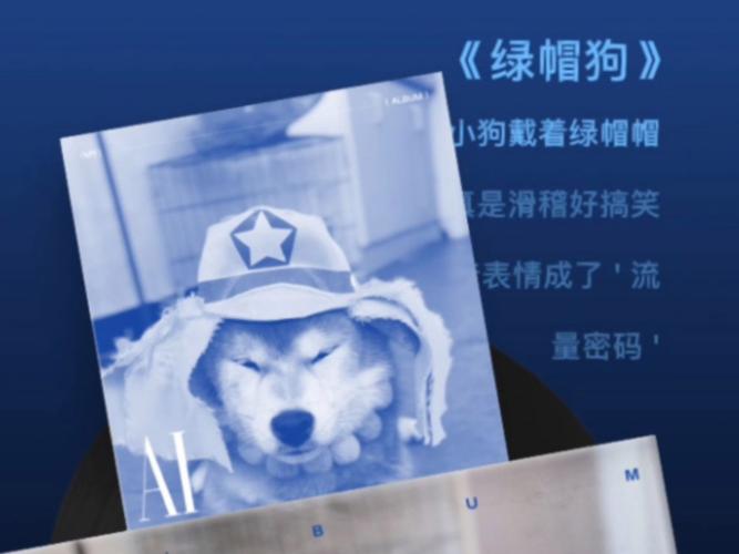 揭秘毛多多bgm-揭秘:毛多多常用的 BGM 有哪些?