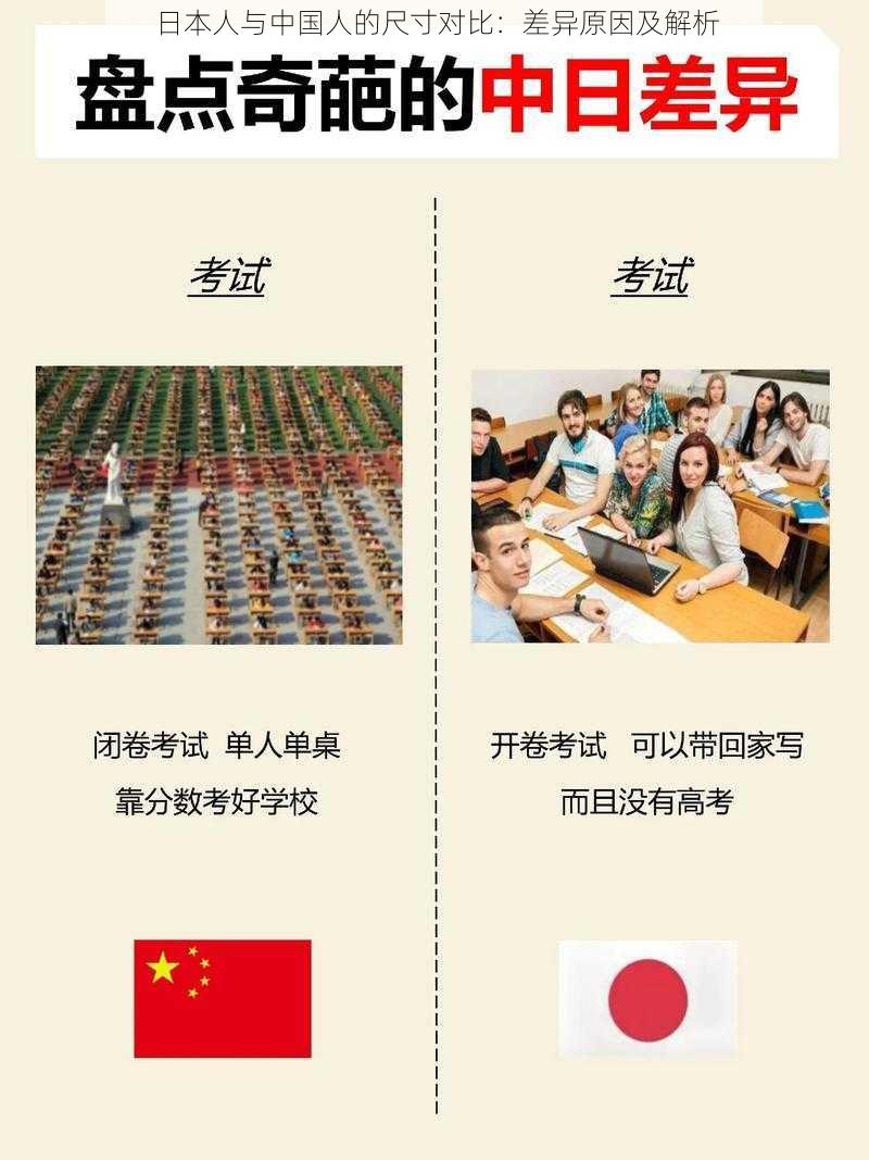 日本人与中国人的尺寸对比:差异原因及解析