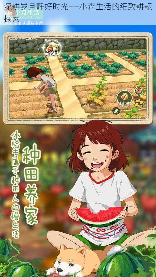 深耕岁月静好时光——小森生活的细致耕耘探索